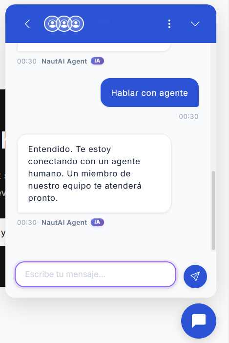 Vassoria Chat Widget